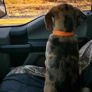 Meet your Posher, Gabino